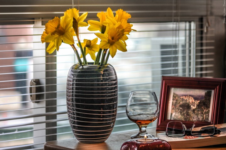 Photo by Artur Dancs