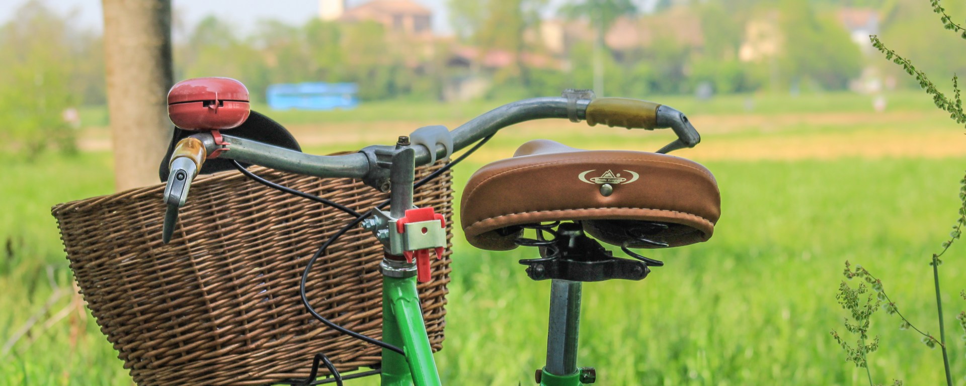 Photo by Artur Dancs