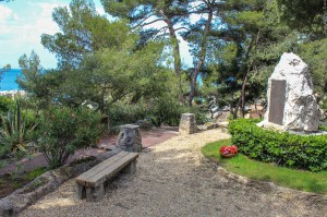 Photo by Artur Dancs