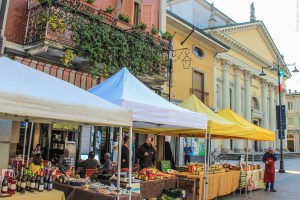 Photo by Artur Dancs