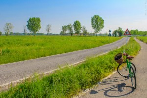 Photo by Artur Dancs