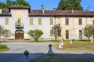 Photo by Artur Dancs