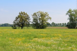 Photo by Artur Dancs