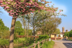 Photo by Artur Dancs