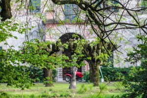 Photo by Artur Dancs