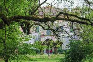 Photo by Artur Dancs