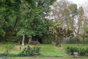 Photo by Artur Dancs