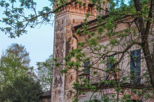 Photo by Artur Dancs