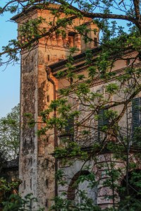 Photo by Artur Dancs