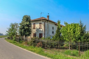 Photo by Artur Dancs