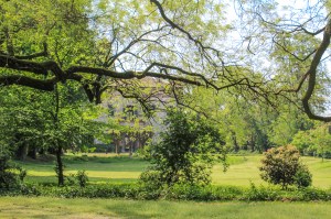 Photo by Artur Dancs