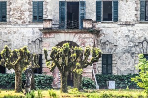 Photo by Artur Dancs