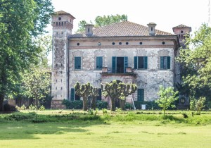 Photo by Artur Dancs