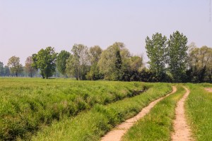 Photo by Artur Dancs