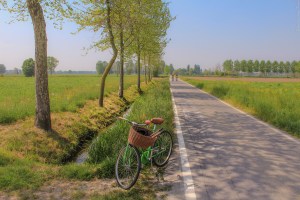 Photo by Artur Dancs