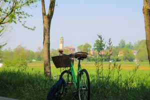 Photo by Artur Dancs