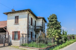 Photo by Artur Dancs