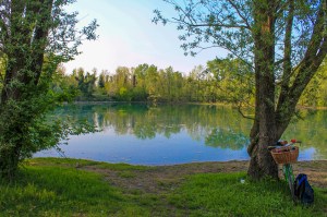 Photo by Artur Dancs