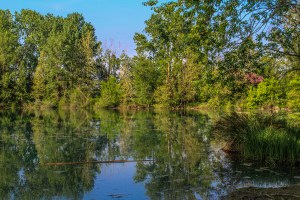 Photo by Artur Dancs