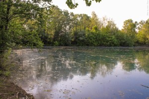 Photo by Artur Dancs