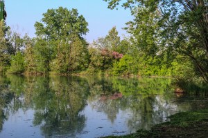 Photo by Artur Dancs