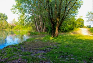 Photo by Artur Dancs