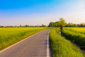 Photo by Artur Dancs