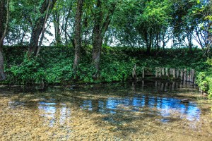 Photo by Artur Dancs