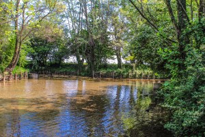 Photo by Artur Dancs