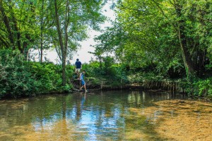 Photo by Artur Dancs