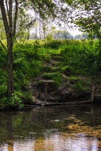 Photo by Artur Dancs