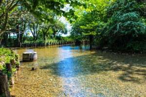 Photo by Artur Dancs