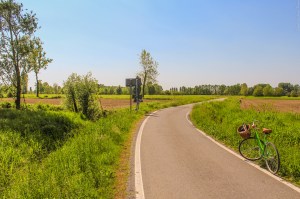 Photo by Artur Dancs