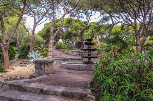 Photo by Artur Dancs