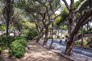 Photo by Artur Dancs