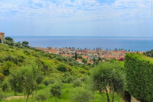 Photo by Artur Dancs