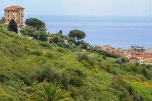 Photo by Artur Dancs