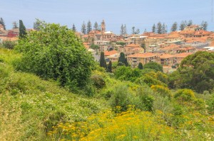 Photo by Artur Dancs