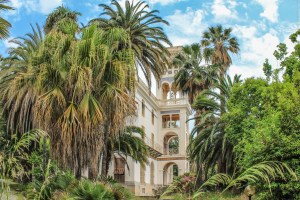 Photo by Artur Dancs