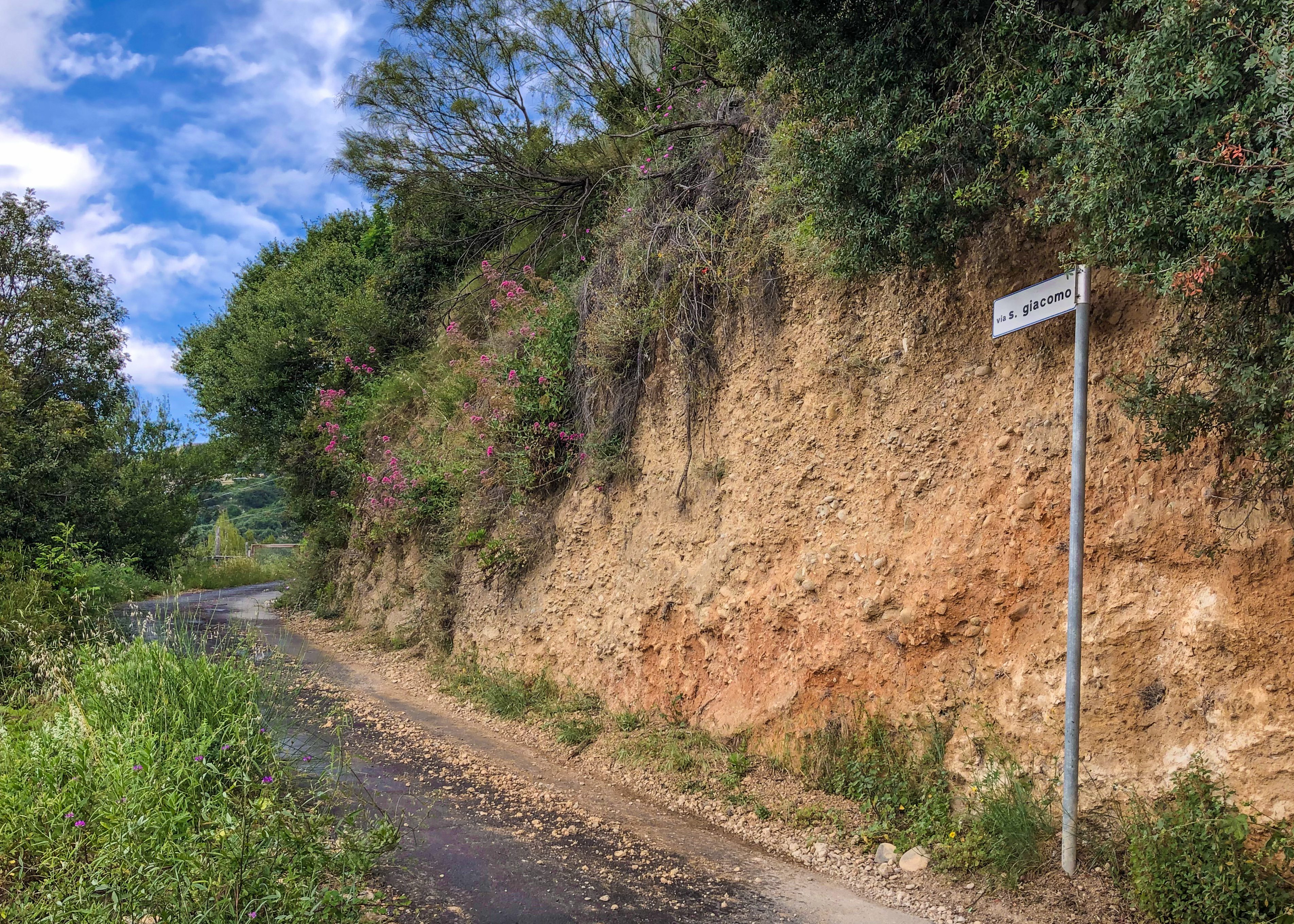 Photo by Artur Dancs